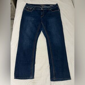 Melissa McCarthy Dark Blue Straight Jeans 22